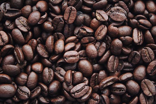 History of Coffee: Origins and Global Spread