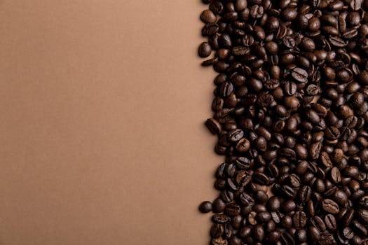 Gourmet Coffee Trends: What’s New in 2025?